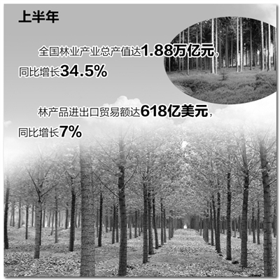 红线护生态 绿色富林农—上半年我国林业发展新亮点