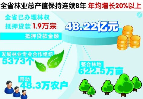 安徽:林改激发新活力 “绿色银行”富农家