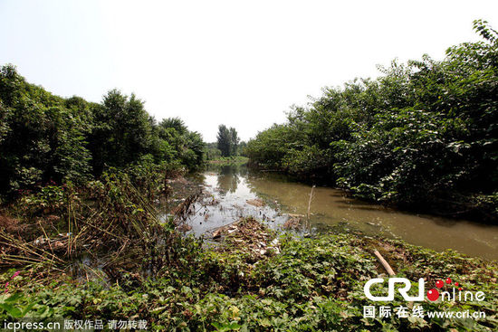 河南洛阳：数亿建政府办公楼 森林公园成“臭水沟”