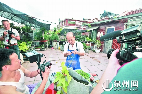 央视拍《园林》寻泉州盆景达人 他把唐诗变盆景