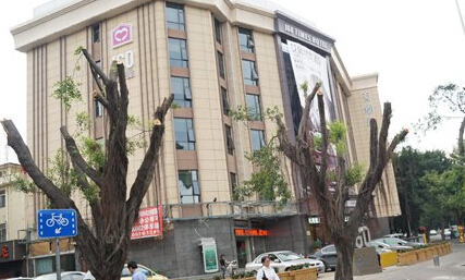 六一中路艾阁时代酒店前面的一排行道树被“剃光头”
