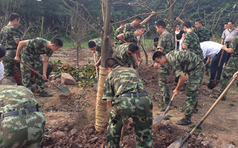 重庆的武警官兵在部队中开始了秋季种树