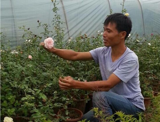林元剑的花卉培育基地