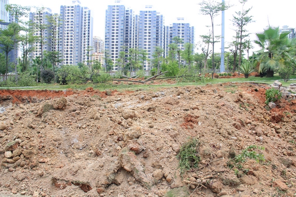 被毁绿地裸露出大片黄土