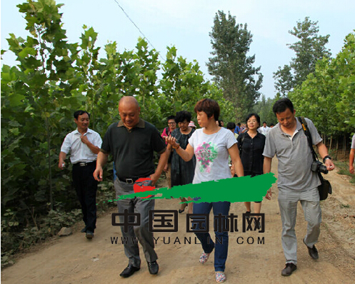 全国苗乡行考察团实地考察
