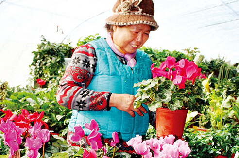 市民们正在选购鲜花