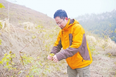 邓晨东