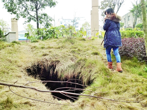 遂州北路一绿化带出现深洞
