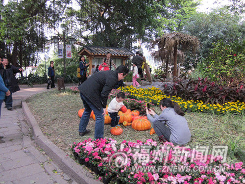 市民踏花圃搬南瓜合影，网友呼吁文明赏花