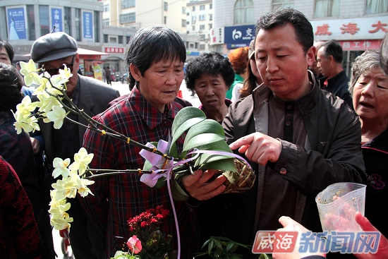 园林师分享养护技术