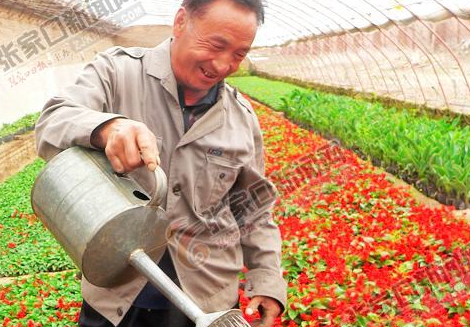 李建平