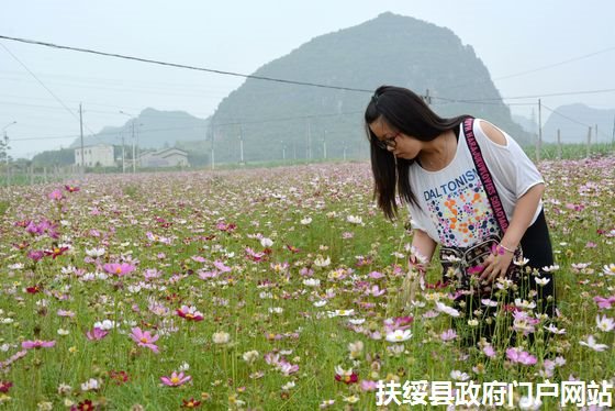 游客在花田赏花