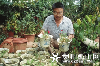 马兆国端着两盆长势矮小的花卉很疼心