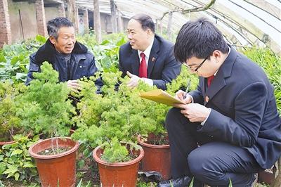 杞县高阳人口是多少_杞县高阳常寨王梅(2)