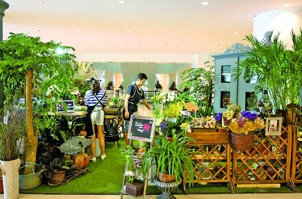 花店自然气息浓郁 记者 龙在全 摄