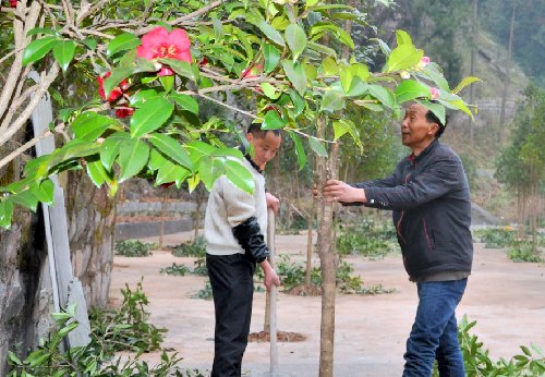 图为王华洲（右一）等在农家乐周边植树