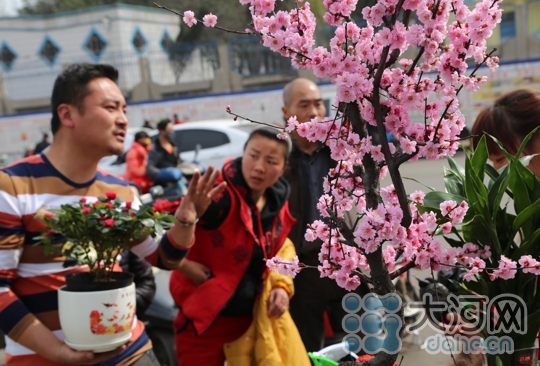 农民在苗木市场选购花卉苗木