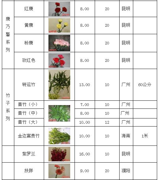 红星花卉市场花价表图片