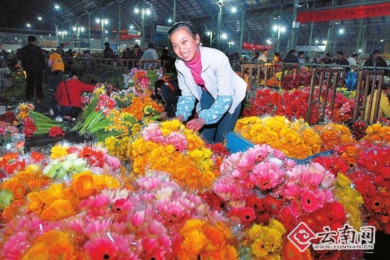 雲南:新擴建園區面積1000畝以上 花農有望成花市股東