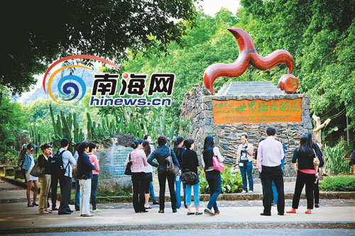 海口火山公园改造扩建：展示古老的荔枝树树根（图）