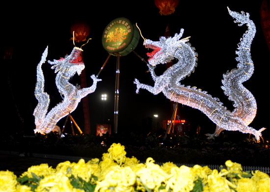 咸阳：LED“满天星”耀眼古城菊正香