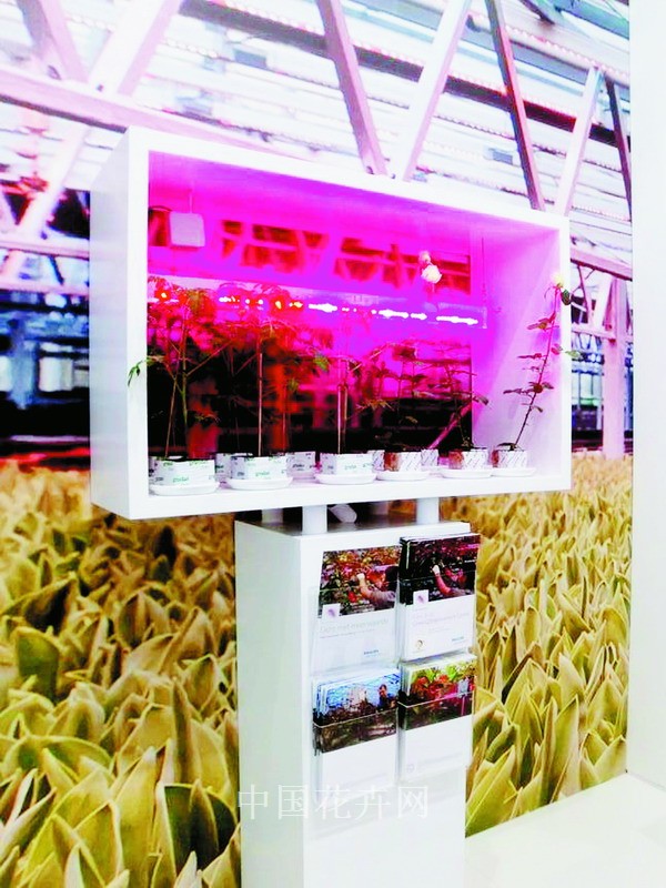 飞利浦公司LED光源为植物育种助力