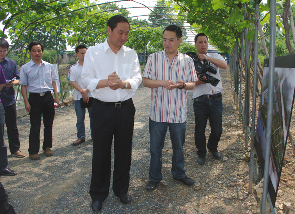 鞍山绿化老总_鞍山师范学院