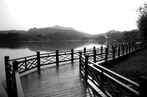 广州：大夫山森林公园新增亲水长廊(图)