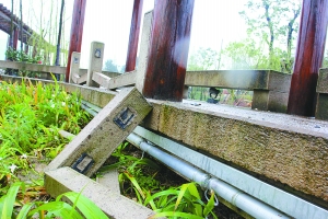 丽水：大洋河栈道百米护栏81根遭破坏