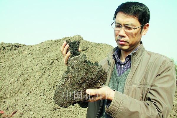 江苏：水葫芦变废为宝作肥料（图）