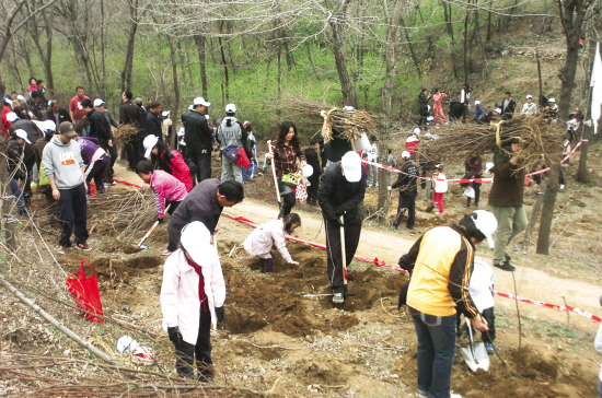 辽宁鞍山市500名志愿者雨中植下3000株幼苗