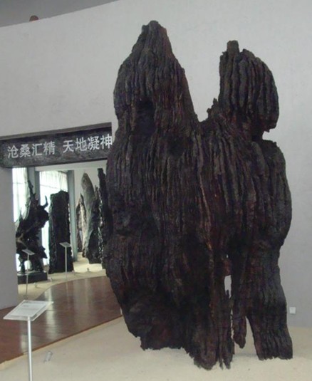 乌木雕塑展示