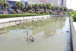 镇江：盛夏市民喜水消暑 广场喷泉多成摆设