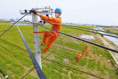 宁波大嵩新区路灯工程抓紧施工 暗的路要亮了