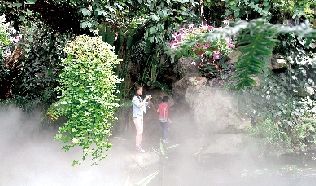 郑州：植物园热带雨林雾森系统改造工程正式对外开放