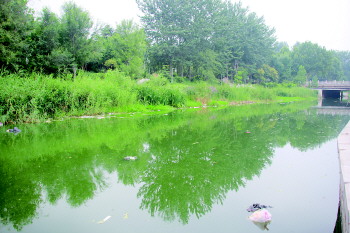 山东菏泽景观河洙水河垃圾穿城过 护栏遭损坏