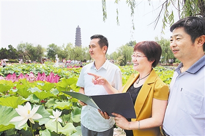 河南开封：满园香荷惹人醉　风情万种引客来