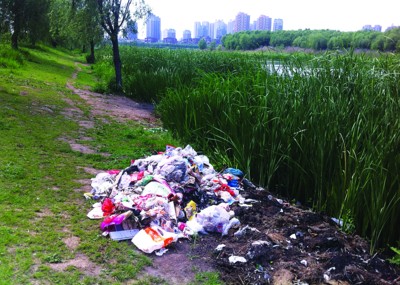 辽宁蒲河公园垃圾变脏臭 市民呼吁多设垃圾箱