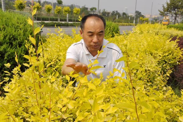 黟县梁飞图片