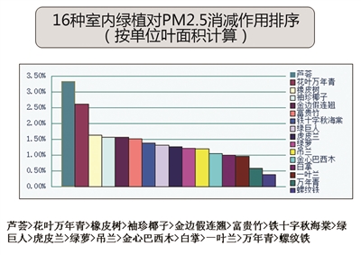 雾霾催热绿植市场 常见品种净化功能表