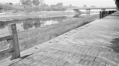 山东枣庄峄城区承水大桥南 护栏缺失市民盼修
