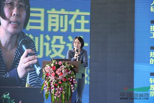 白伟岚：城市开放空间与海绵城市的构建