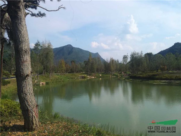 2017全国苗乡行贵州线第三天，走进苗夫集团水湄花谷