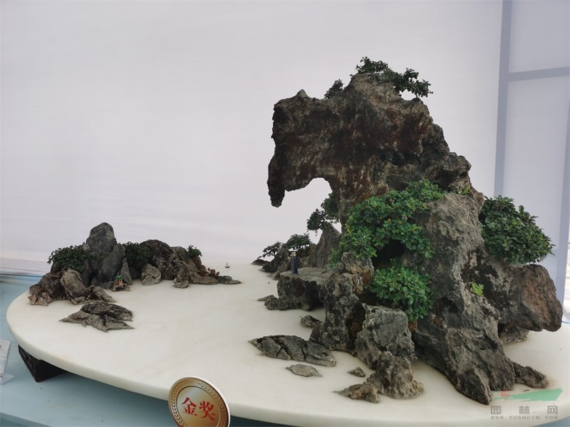 云南功夫园艺有限公司金奖盆景作品《腾越山魂（山水、石灰石）》.jpg