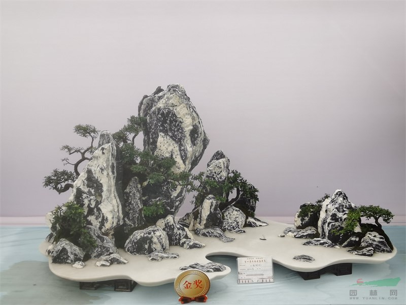 钟旭贵的金奖盆景作品《山舞银蛇》.jpg