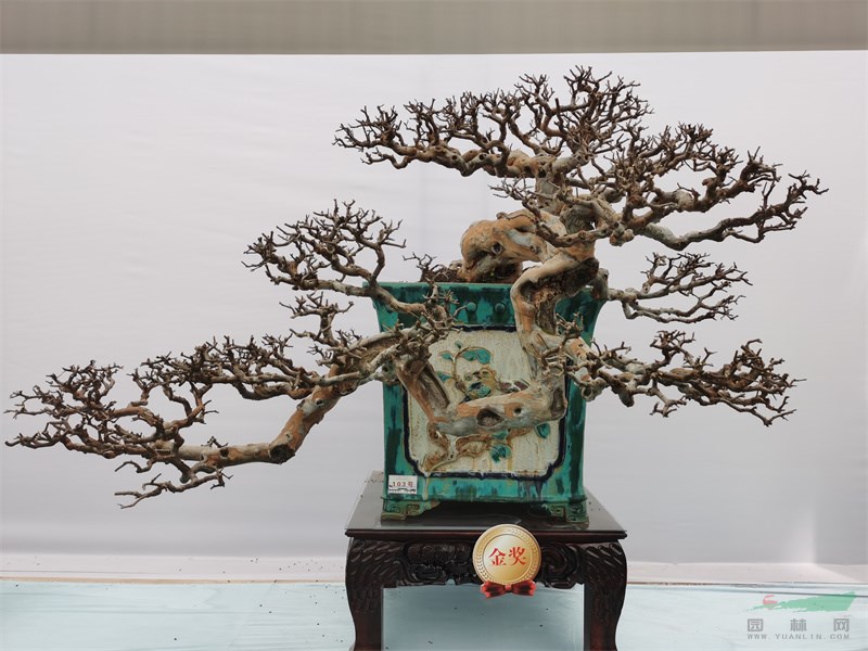 钟旭贵金奖作品《龙兴逸韵》.jpg