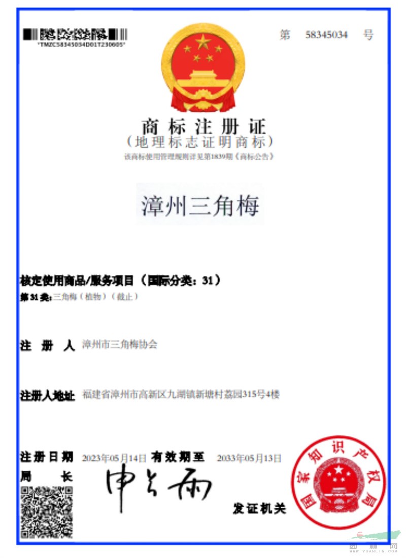 《漳州三角梅》《地理标志证明商标》 注册证 - 复件(1).jpg 《漳州三角梅》《地理标志证明商标》 注册证 - 复件(1).jpg